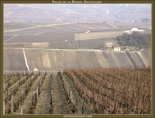 Champagne: La Vallée de la Marne